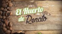 Imagen HUERTO DE RENATO