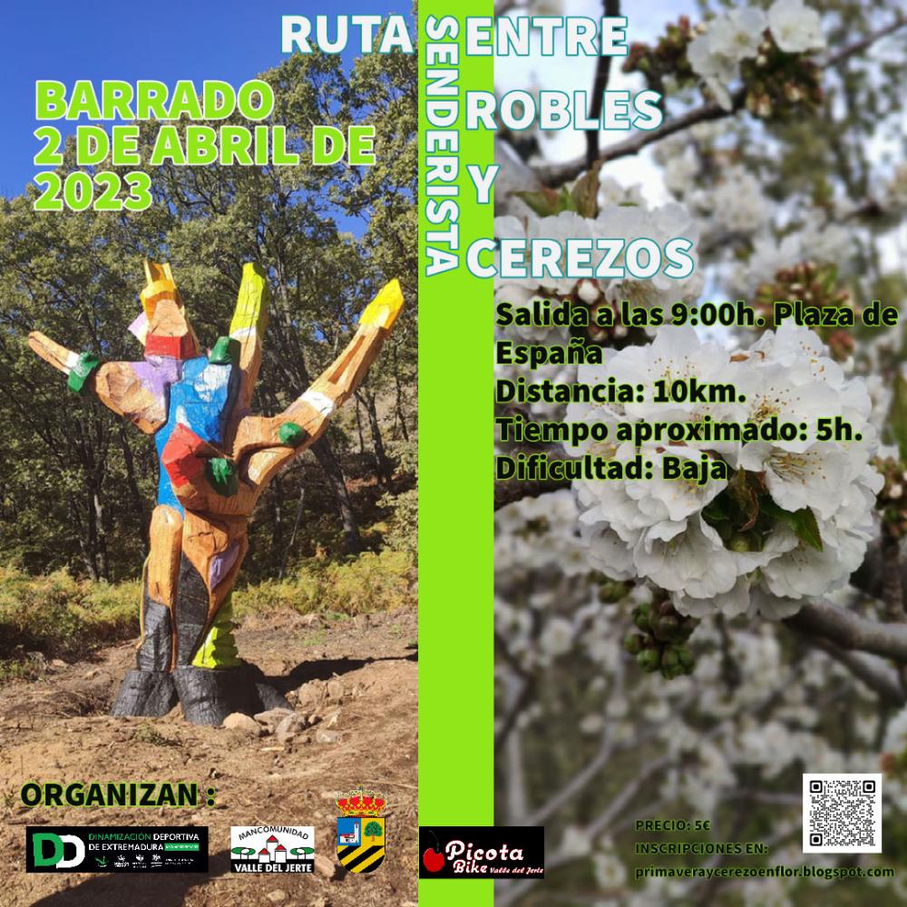 Imagen RUTA ROBLE SOLANA